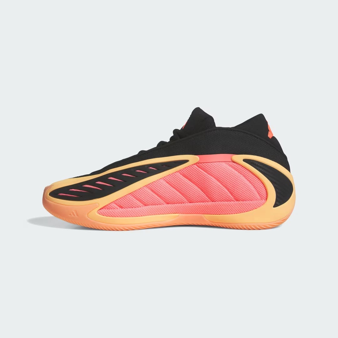 AE 2 Anthony Edwards