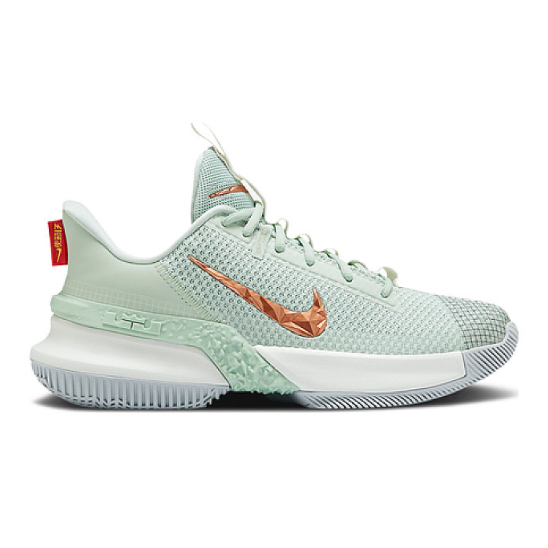 Nike LeBron Amabassador 13 Nike LeBron Amabassador 13