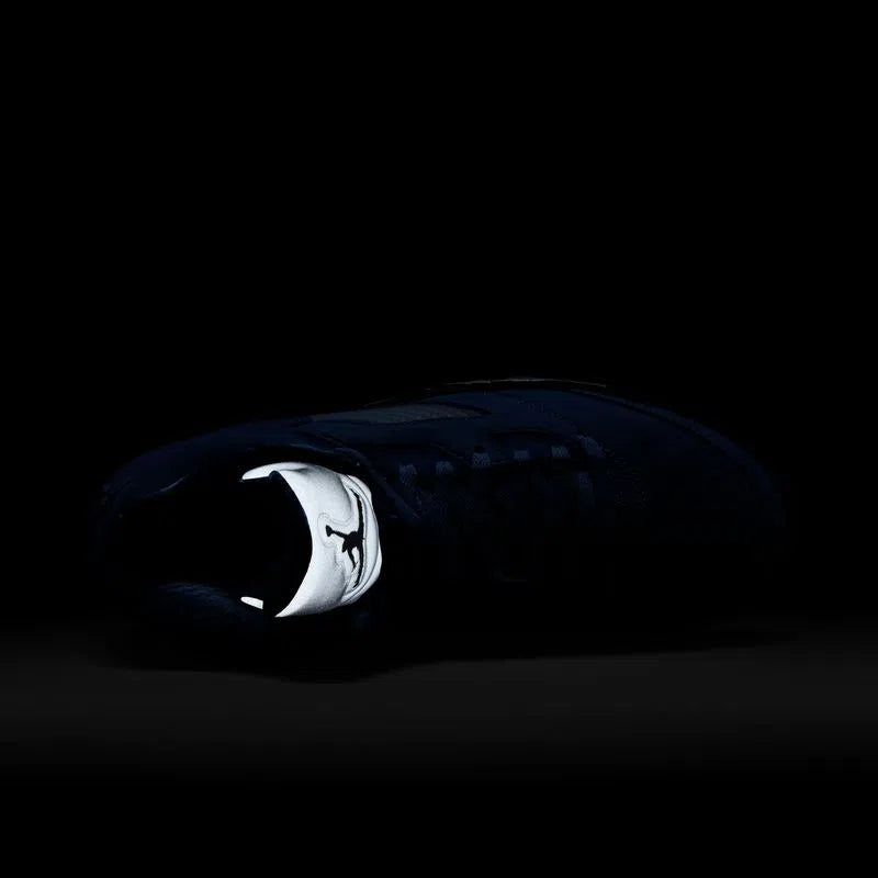 Air Jordan 5 Retro SE