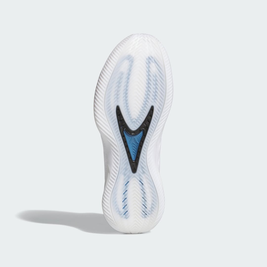 AE 2 Adidas Anthony Edwards 2 “Alphadawg”