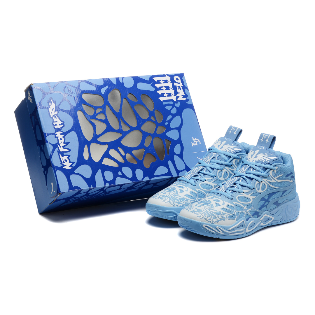 MB.04 LaFrancé 1 of 1