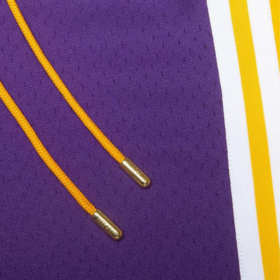 Shorts Los Angeles Lakers Mitchell & Ness Purple Hardwood Classics 1996-97 Just Don