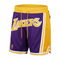 Shorts Los Angeles Lakers Mitchell & Ness Purple Hardwood Classics 1996-97 Just Don